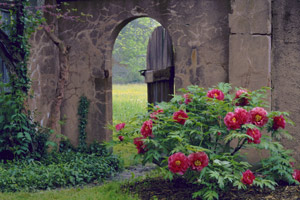 Garden Gate by Phyllis Thompson