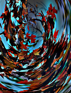 Autumn Spheric by Daniel Crozet