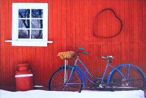 Blue Bike and Barn
