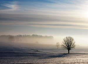 Foggy Winter Morning by Daniel Crozet