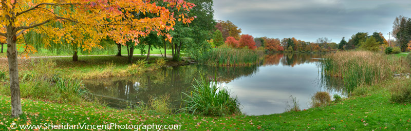 Seneca Park Pond by Sheridan Vincent