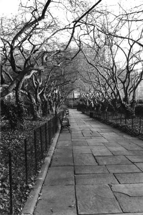 Central Park in December by Karen Craft