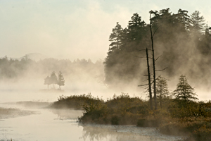Dawn - Raquet Lake No 10 by John Williamson