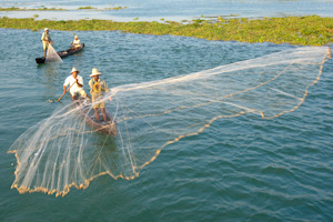 Fishing Net by Jim Patton