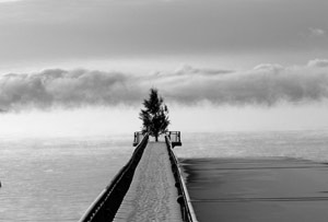 Into the Mist by Alex Pendleton