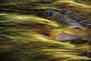 Androscoggin River Reflections by John Williamson