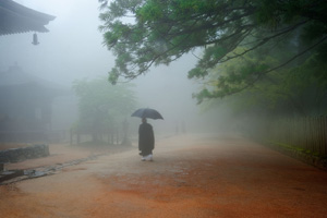 Misty Day, Koyasan, Japan by Yang