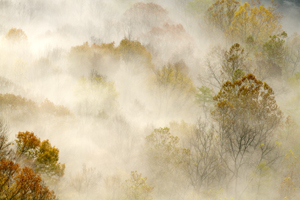 Autumn Fog by Dick Bennett