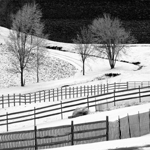 Six Fences by Dan Neuberger