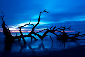 Blue Sunrise by Sherry Dans
