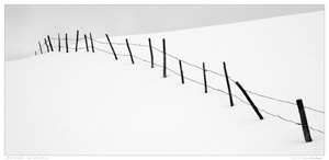 Fence in Snow by Harriet Sutherland