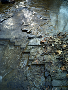 Creek Detail by David Moog
