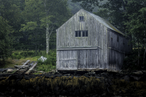 Maine Barn at Low Tide by Michelle Turner