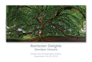 Rochester Delights Showcard Sheridan Vincent