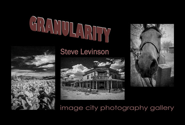 Levinson-Granularity Showcard 2014