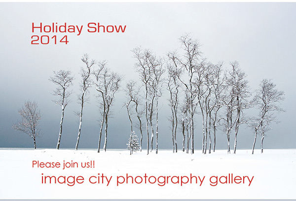 Holiday Show Card 2014