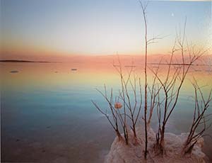 Dead Sea #8 by Emily Berkson