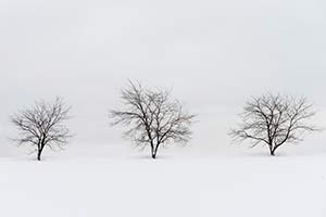 Winter Solitude by Scott Hooker