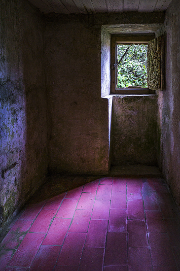 Monk's Room by Tom Kredo