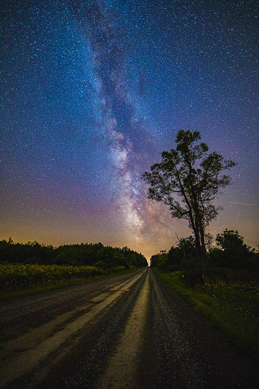 Milky Way Road by Margy Meath
