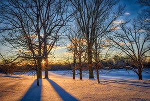 Winter Shadows by Mary Shelsby