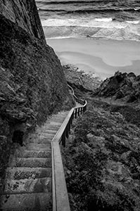 Path to the Sea by Tom Kredo