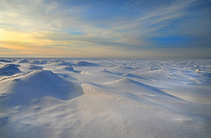 Lake Ontario Icescape by Michael Shoemaker