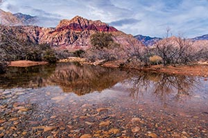 Red Rock Canyon Oasis by Marie Costanza