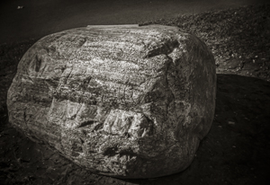 Holga Rock by Steve Levinson