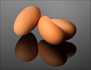 Not Your Average Eggs by Dave Braitsch