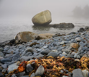 Bar Harbor Maine by Nicholas Jospe