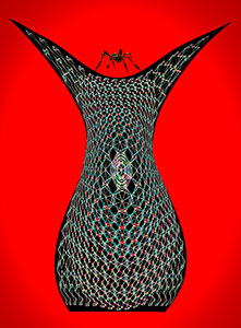 Spider Lady's Web by Jerome Kaye