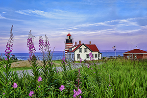 West Quoddy Head Lighthouse by Patty Singer