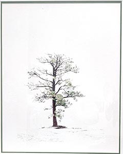 Jeffery Tree by Nancy Rice