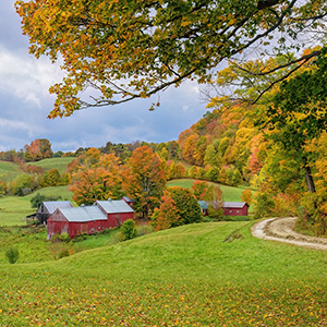 Jenne Farm - Vermont by Patty Singer
