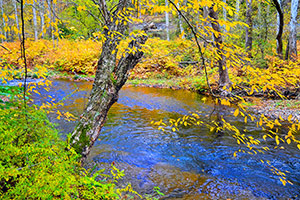 A Moment in Time by Michael Shoemaker