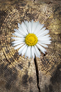 Poem by John Solberg