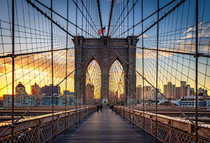 Brooklyn, Brooklyn, Take Me In