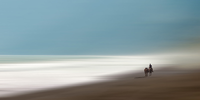 Into the Mist by Beverly Goldschmidt