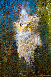 Solberg 3 by John Solberg