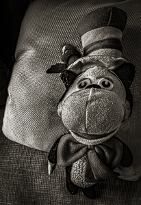 The Hat by Steve Levinson