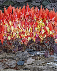 Inferno by Marcia Zach and Michael Tomb