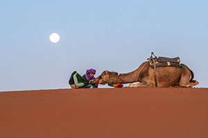 A Man's Camel by Dede Hartung