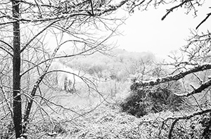 Untitled by Bruno Chalifour