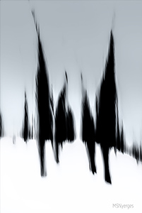 Sentinels of the Hill by Mike Nuerges