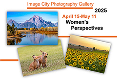 Women's Perspectives 2025 Postcard