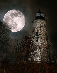 Fantastical by Julie Oldfield