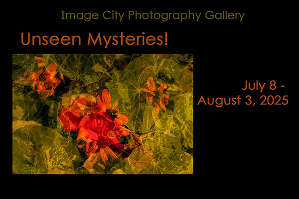 Unseen Mysteries Show Card