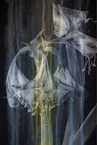 Visual Poetry by Luann Pero