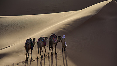 Climbing the Dunes by Anne Dunford